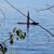 Diane Pilar Smith's profile image