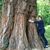 Marianne Franus Beck's profile image