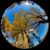 David Kazmaier's profile image