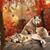 Tammy Diel's profile image