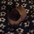 Brenda Caiola's profile image