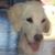 Marilyn Burke's profile image