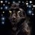 Panther T Moore's profile image