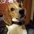 James Shuler's profile image