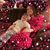 Vicki Kent Morris's profile image