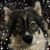 Jolynn Huber's profile image