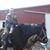 Chad C Routt's profile image