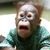 Shawna Hobbs's profile image