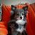 Irene Coer's profile image