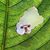 Avyi Shoup's profile image