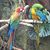 Tracy Lovelace's profile image