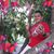 William Estuardo Sagastume's profile image