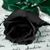 Elizabeth Mauricio Perez's profile image