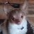 Pam Shulsen's profile image