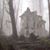 Lisa Tingle Canfield's profile image
