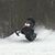 Jerry Eby Jr.'s profile image