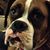 Mary A Foley's profile image