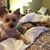 Traci Haigler Lowe's profile image