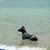 Christopher Morris's profile image