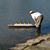 Michael Koehler's profile image