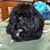 Robin Hunkele's profile image