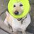 Jerry Anderson's profile image