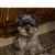 Donna Love's profile image
