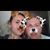Isabella Elizabeth's profile image