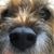 Lora Lee Gelles's profile image