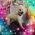 Linda Montgomery-Burks's profile image