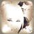 Nicole Deck's profile image