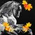 Deborah Mosier's profile image