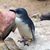 Debra McCarriar's profile image