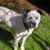 Sharon Robins's profile image