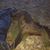 Charles Bradshaw's profile image