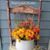 Sharon Fugate's profile image