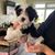 Nadia Cianfarani Dunne's profile image