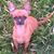 Leslyn Walter Hester's profile image