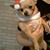 Dianne Martinez's profile image