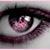 Jo Churchill Price's profile image