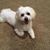 Leslie Burns Fazio's profile image