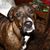 Tracy Vrana's profile image