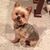 Jill 'Caruth' Bode's profile image
