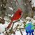 Sherri Woronick's profile image