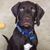 Heather Mewhinney's profile image