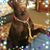 Jerri Vaughn Rogers's profile image