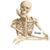 Vanesa Bratt's profile image