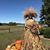 Christine Van Ormer's profile image