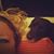 Stacey Petterson's profile image