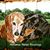 Karen Rogina's profile image